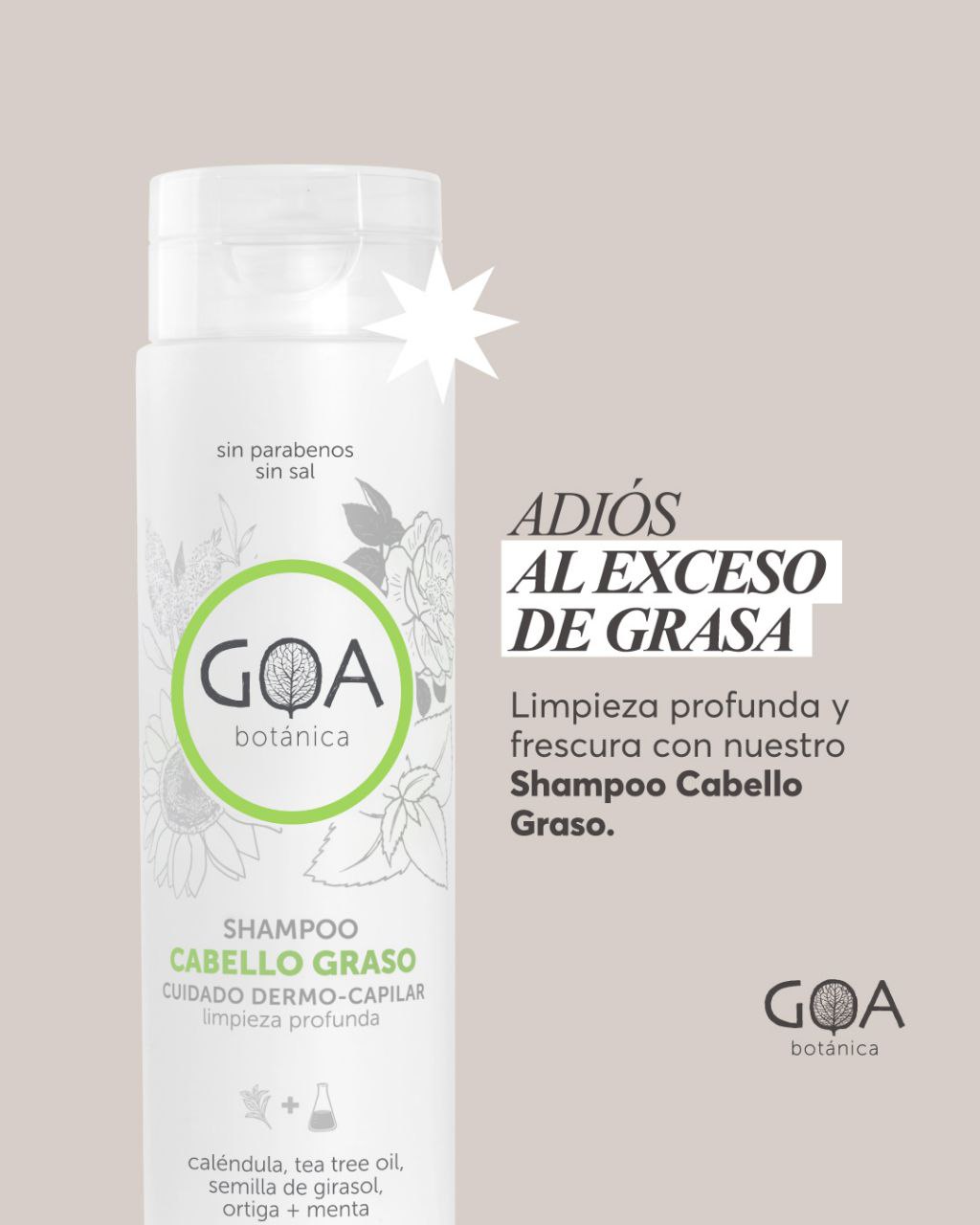 GOA Botánica Shampoo Cabello Graso - Imagen 4