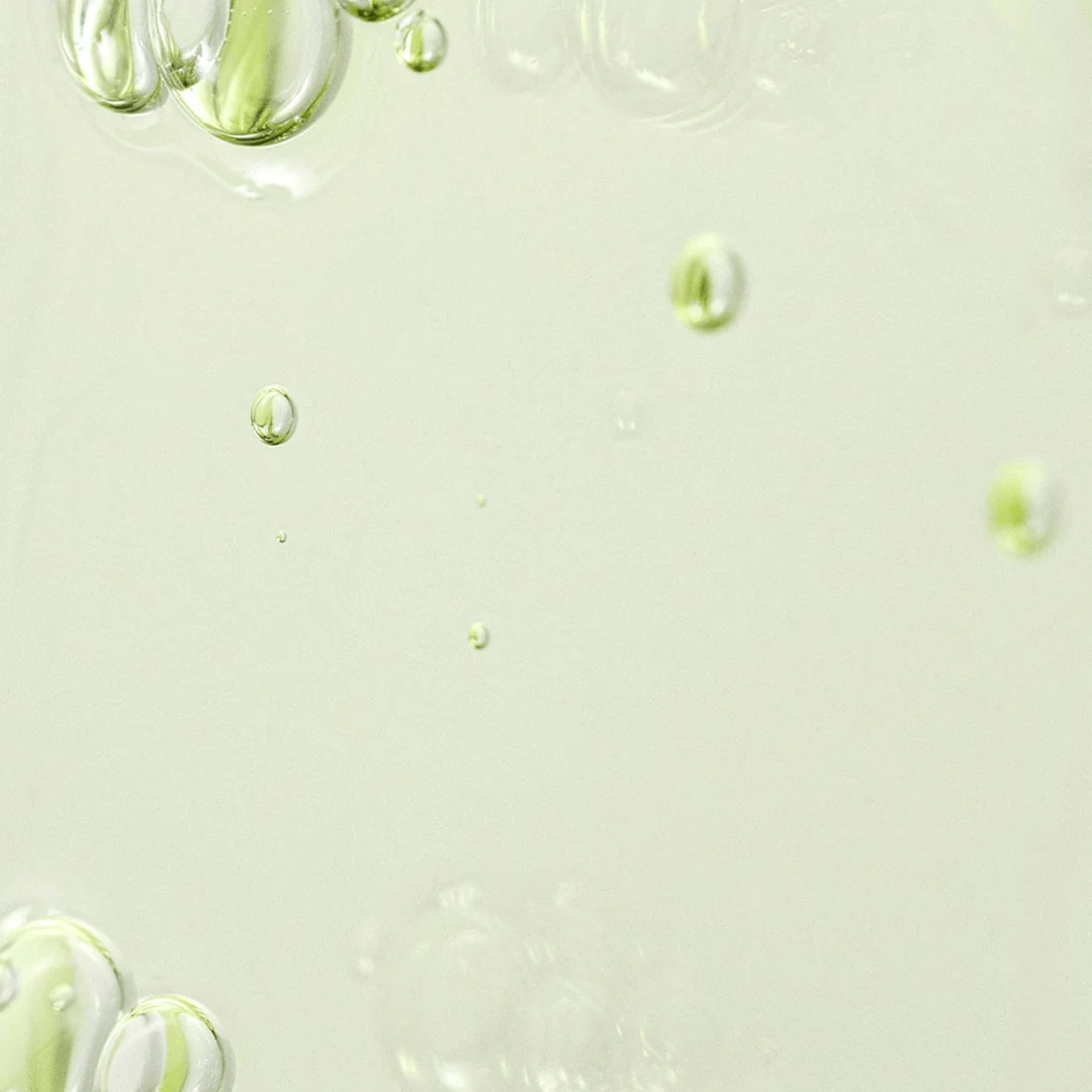 Beauty of Joseon Calming Serum Green tea + Panthenol - Imagen 3