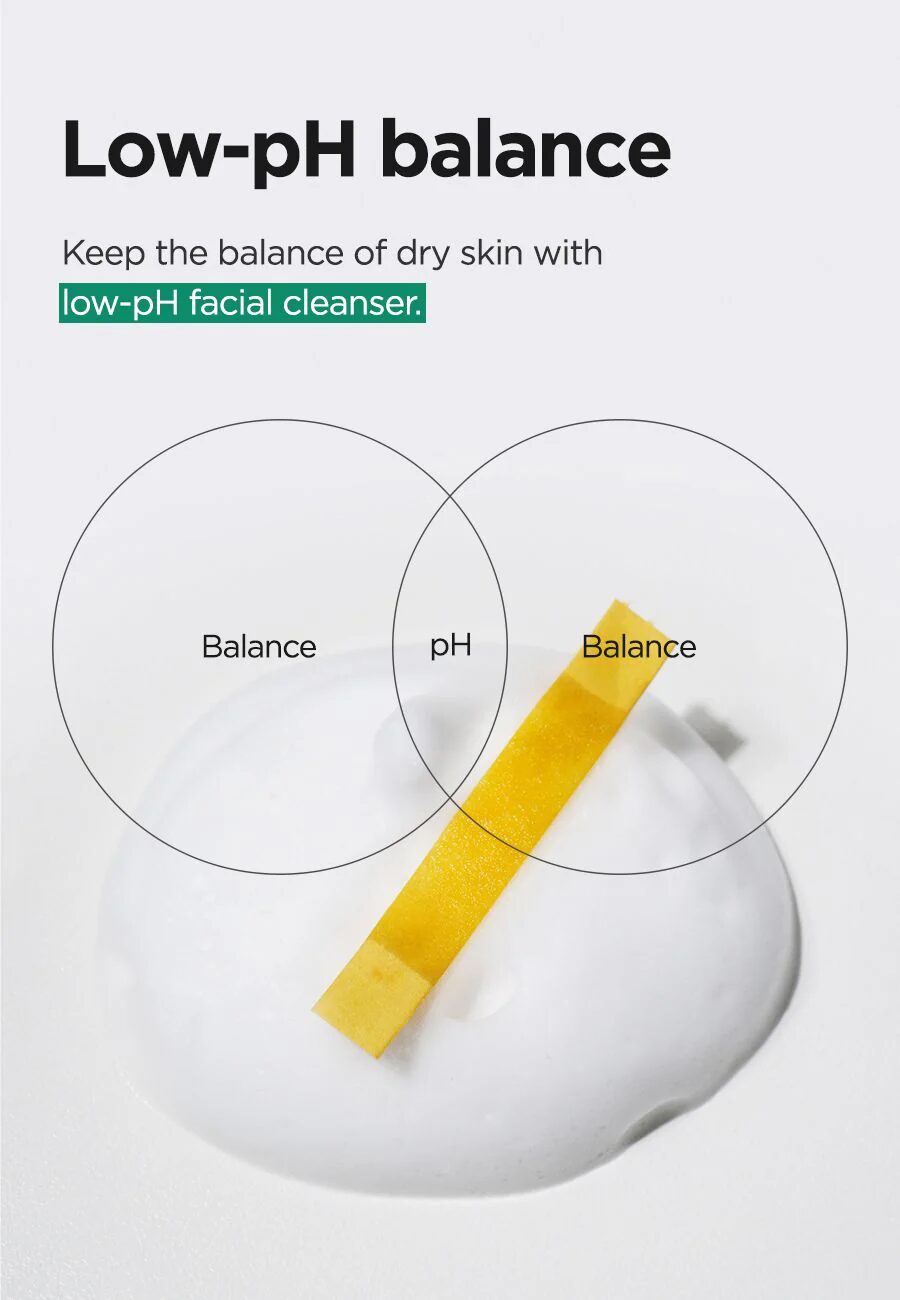 Isntree Mugwort Calming Powder Wash - Imagen 6