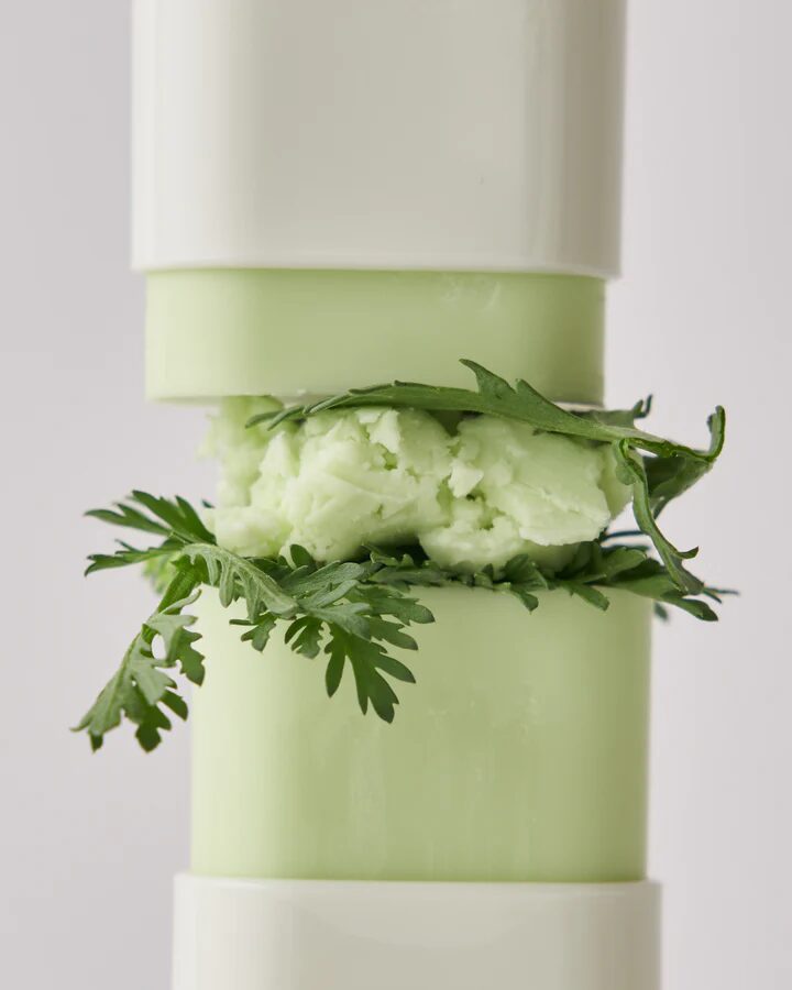sun stick mugwort