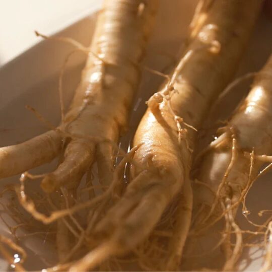 sérum ginseng caracol - Textura y detalles
