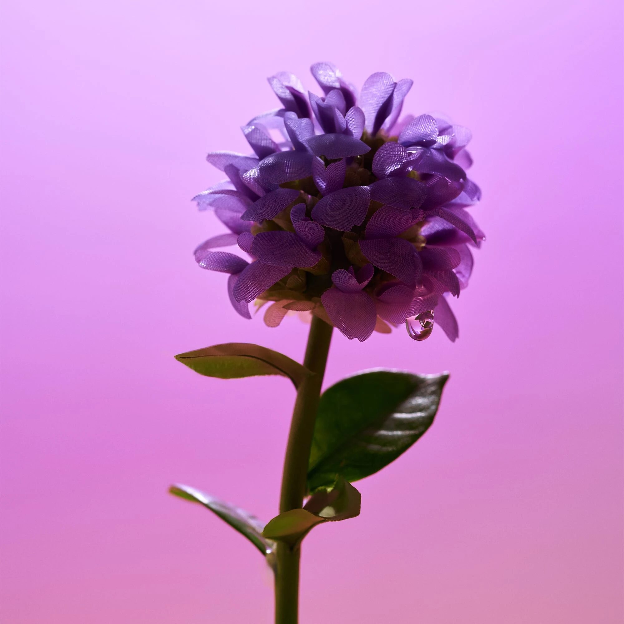 Detalle de producto Skincare Coreano EQQUAL BERRY - Foto 16