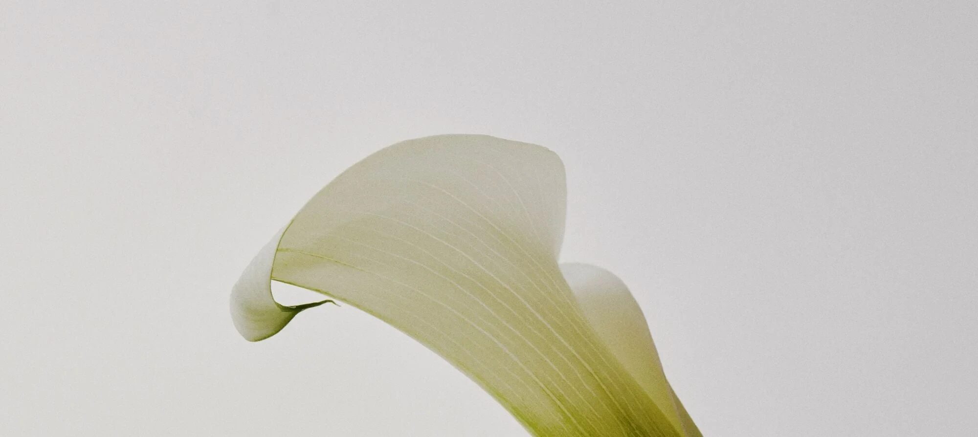 Detalle de producto Skincare Coreano Mixsoon - Foto 6