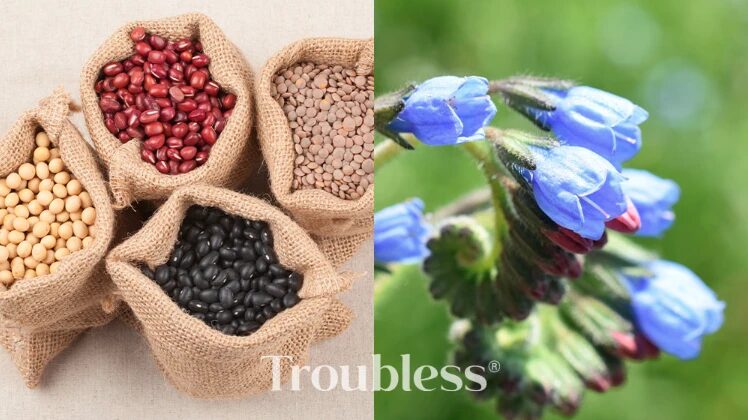 Detalle de producto Skincare Coreano Troubless - Foto 5